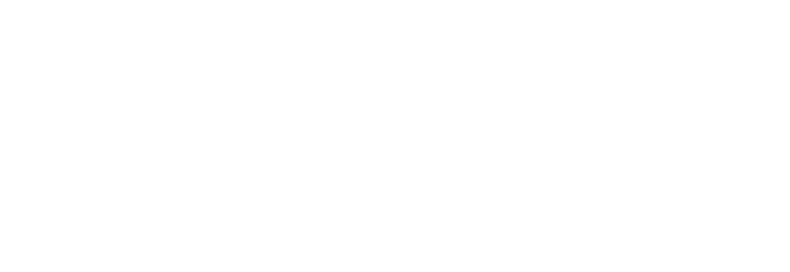 Zahir